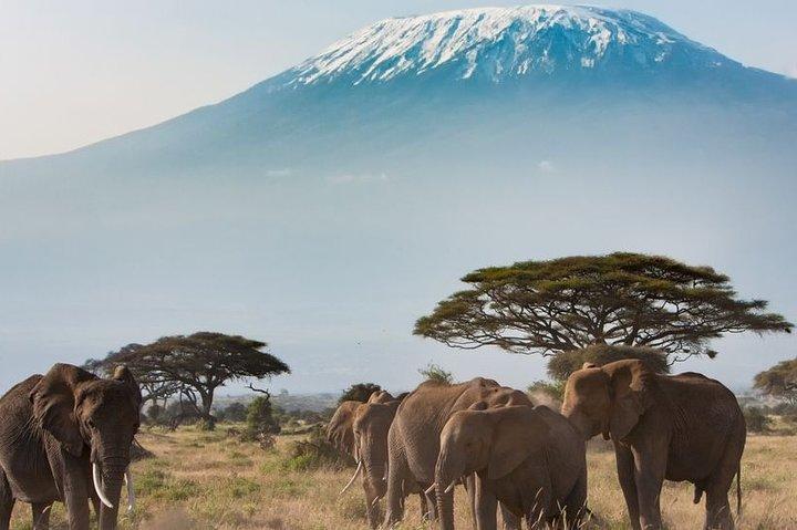 Private Transfer from Arusha to Jomo Kenyatta Airport (NBO)