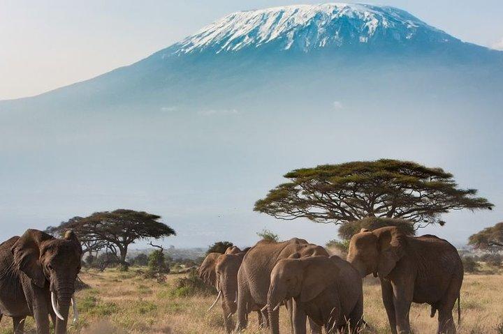 Private Transfer from Arusha to Kilimanjaro Airport (KIA)