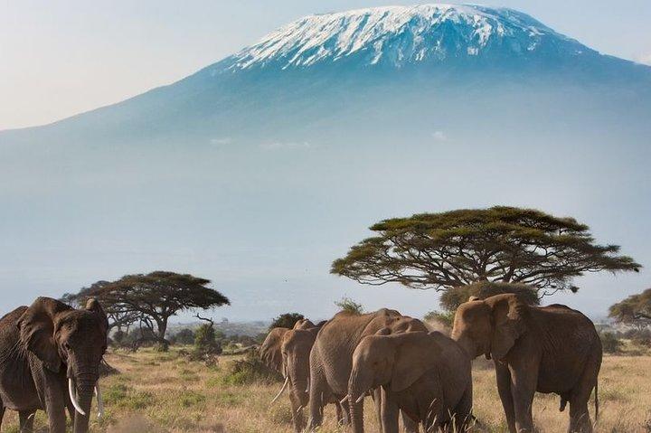 Private Transfer from Jomo Kenyatta Airport (NBO) to Arusha