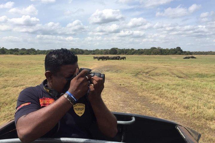 Yala National Park Full-Day Jeep Safari with Lunch