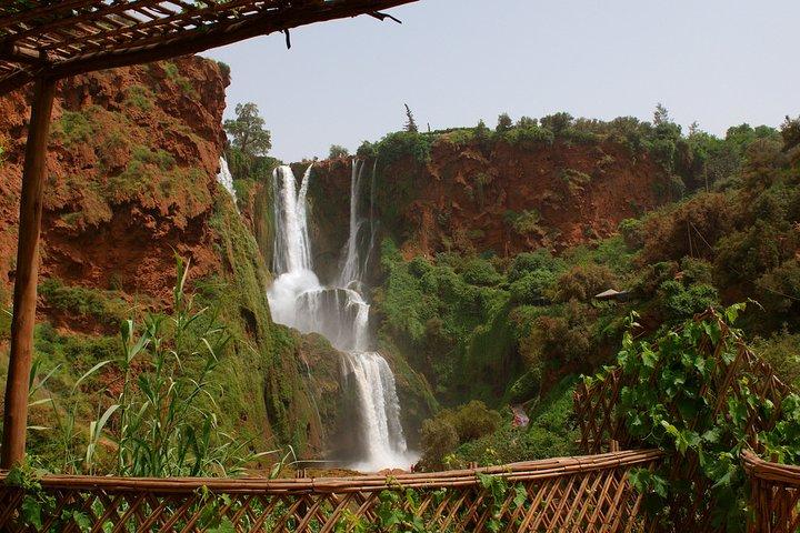 Ouzoud Waterfalls Full-Day Group Tour from Marrakech