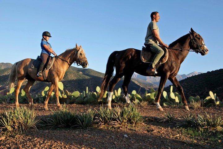 Atlas Mountains Horseback Ride Day Tour From Marrakech