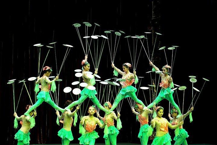 Private Tour: China Acrobatics Show and Shanghai Evening Tour
