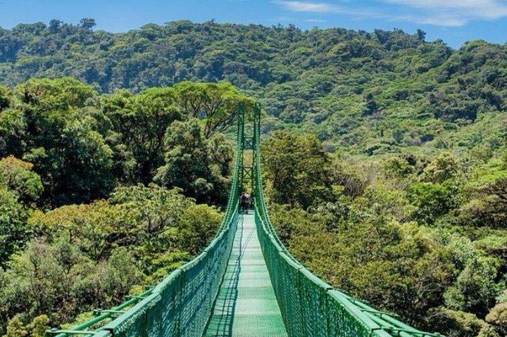 Monteverde Cloud Forest Hanging Bridges Tour from San Jose