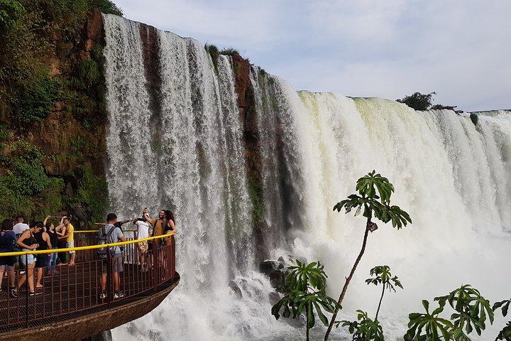 Tour to Iguazu Falls Brazil with visit at the Bird Park