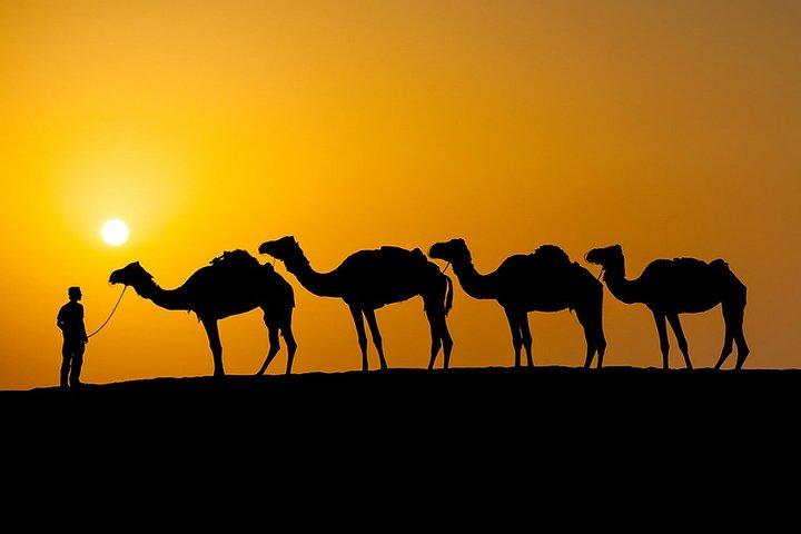 Marrakech: 4 Day Private Desert Tour To Merzouga With Camel Trek