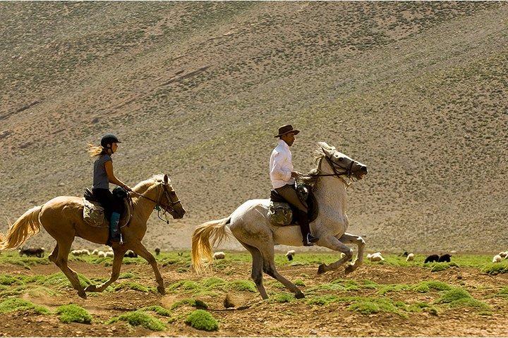 Atlas Mountains Horseback Ride Day Tour From Marrakech