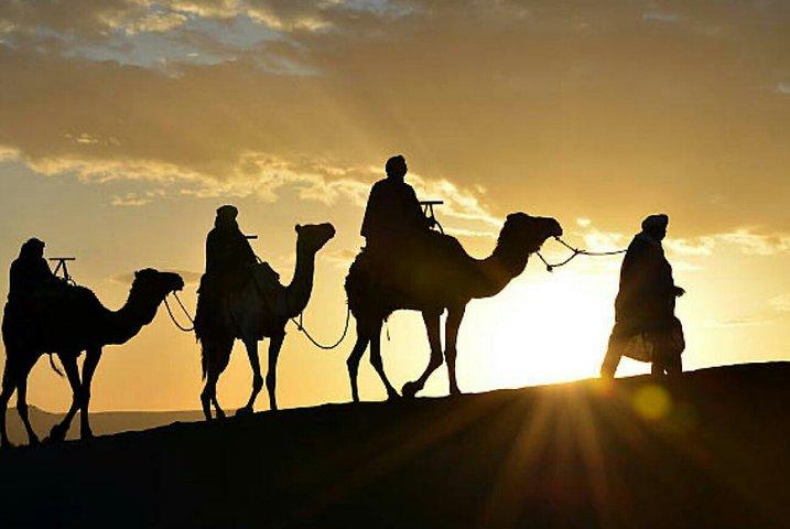 Agadir Camel Ride with Couscous & barbecue