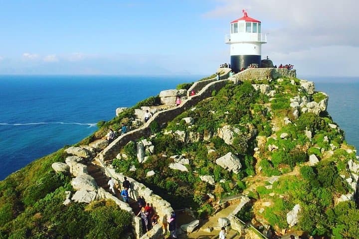 Cape Point Penguin Tour