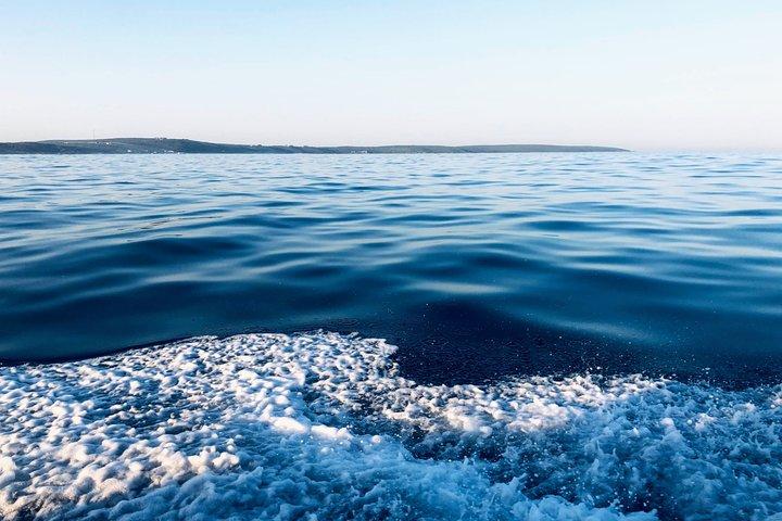 Whale Watching Tour in Hermanus with Hotel Pickup