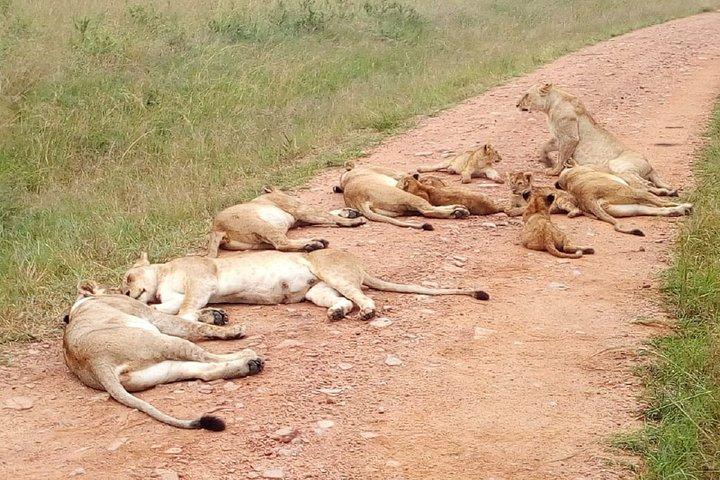 2-Day Private Guided Safari of Lake Nakuru Park from Nairobi