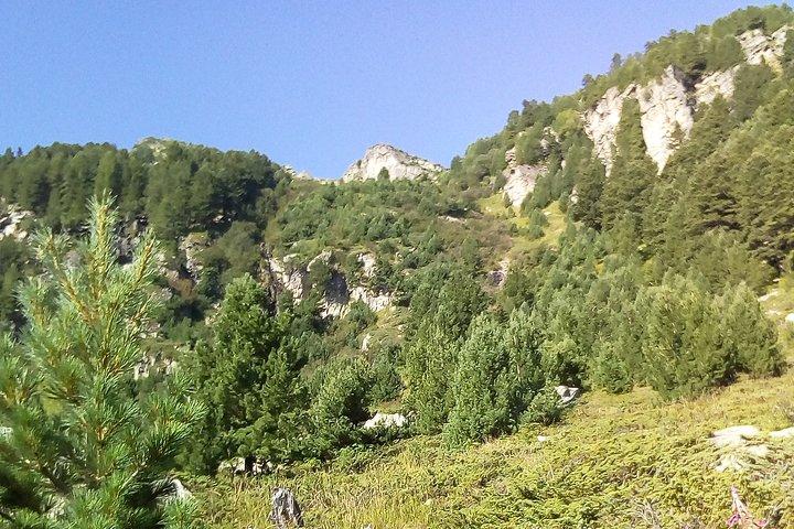 Private Trekking in Rila Mountains and Mt Mousala from Sofia