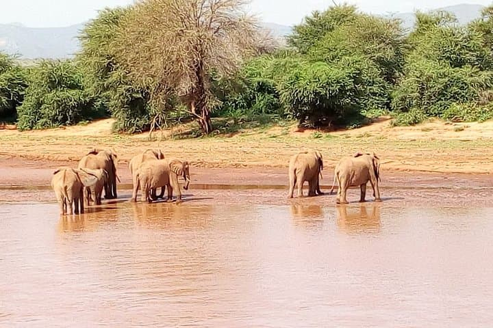 Private 3-Day Meru National Park Safari from Nairobi