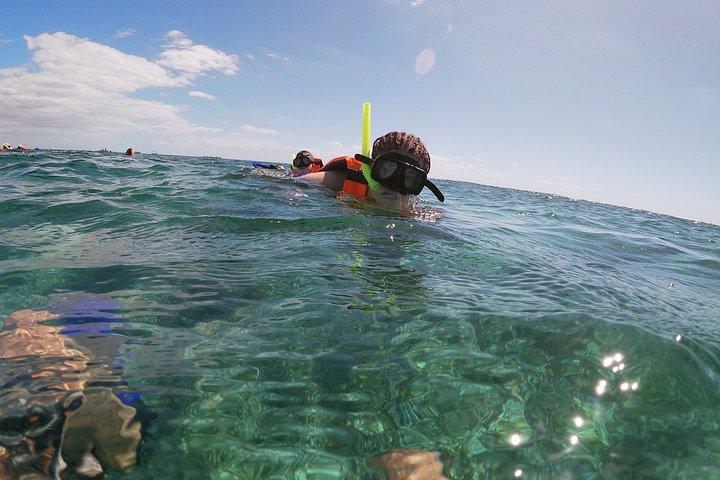 Guided Tour of Puerto Morelos Reefs with Snorkeling Experience