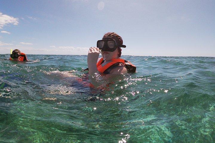 Guided Tour of Puerto Morelos Reefs with Snorkeling Experience