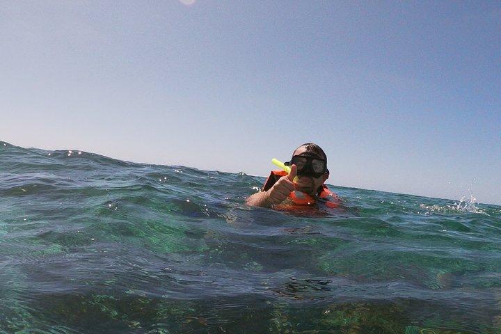 Guided Tour of Puerto Morelos Reefs with Snorkeling Experience