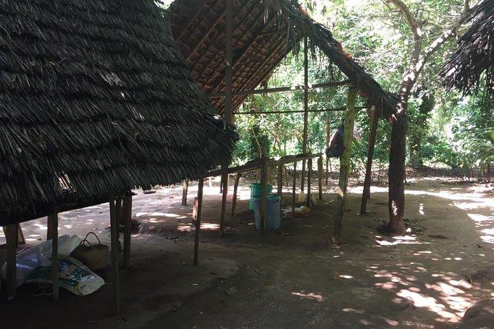 Spice Farm Tour and Jozani Forest - Private Trip