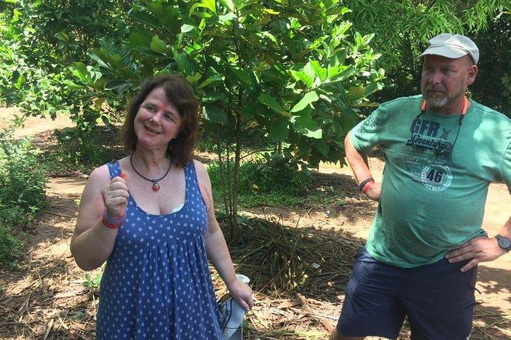 Spice Farm Tour and Jozani Forest - Private Trip