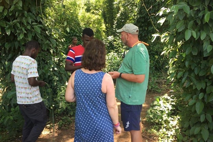 Spice Farm Tour and Jozani Forest Private Tour in Zanzibar