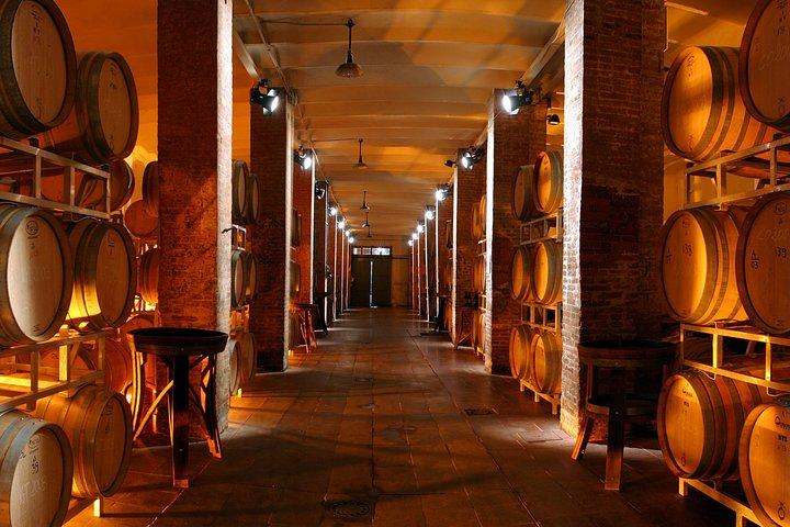 Wine Tour Experience