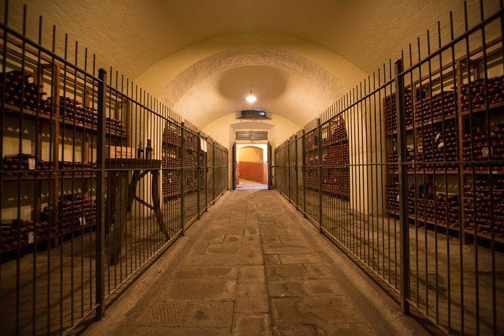 Wine Tour Experience