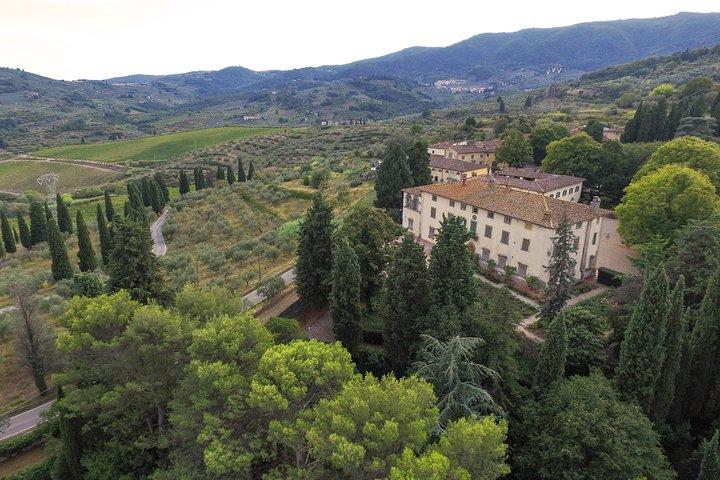 Wine Tour Experience