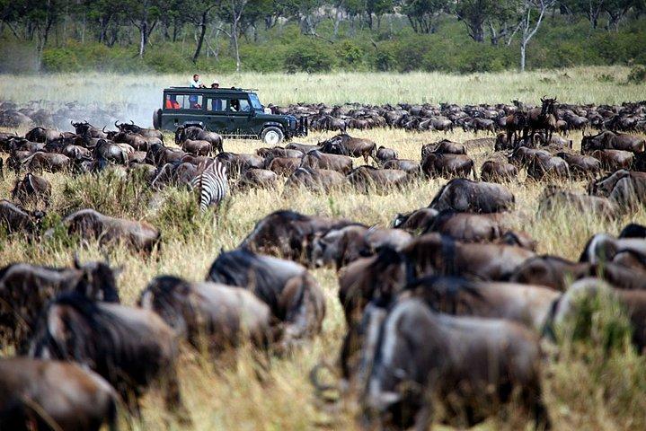 3-Day Masai Mara Private Flying Safari with 4x4 Game Drives