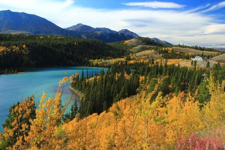 Skagway Shore Excursion: Yukon Dog Sledding and Sightseeing Tour