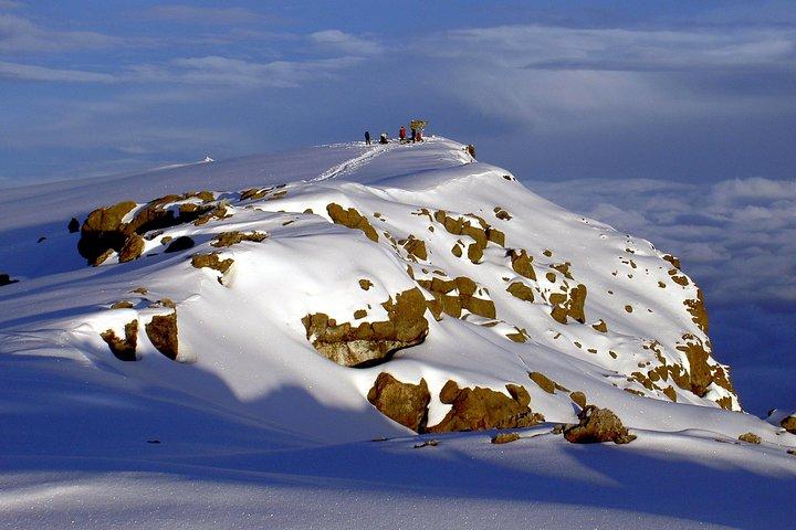 1 Day Marangu route trip up to Mandara Hut | Kilimanjaro hiking