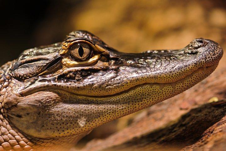 Safari in Selous Game Reserve from Zanzibar: 03 Night 04 Day Safari – Full Board