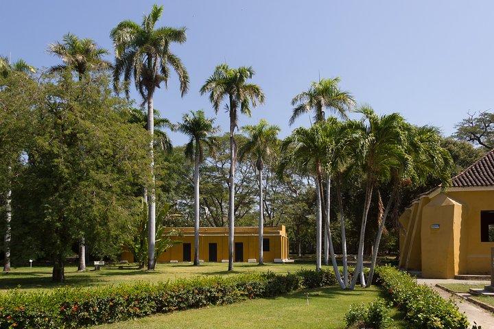 Old Town and Quinta San Pedro Santa Marta City Tour