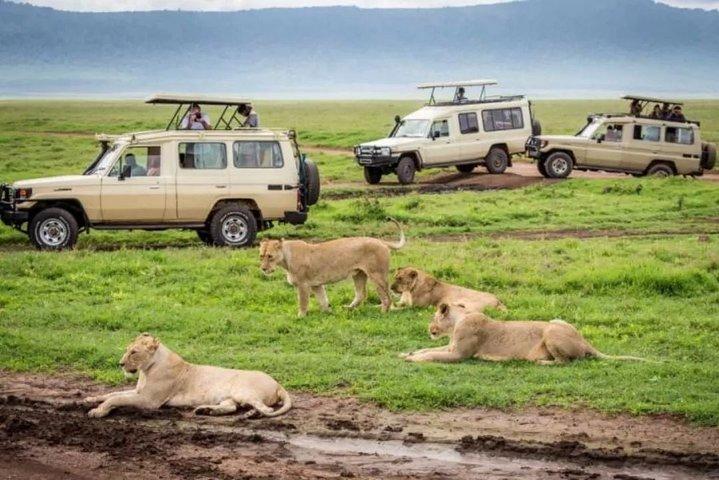 3 Days Mid - Range Lodge Safari To Tarangire, Lake Manyara & Ngorongoro Crater