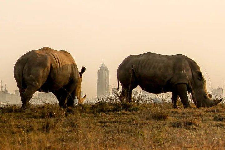 Nairobi National Park Game Drive & Carnivore Restaurant Lunch or Dinner