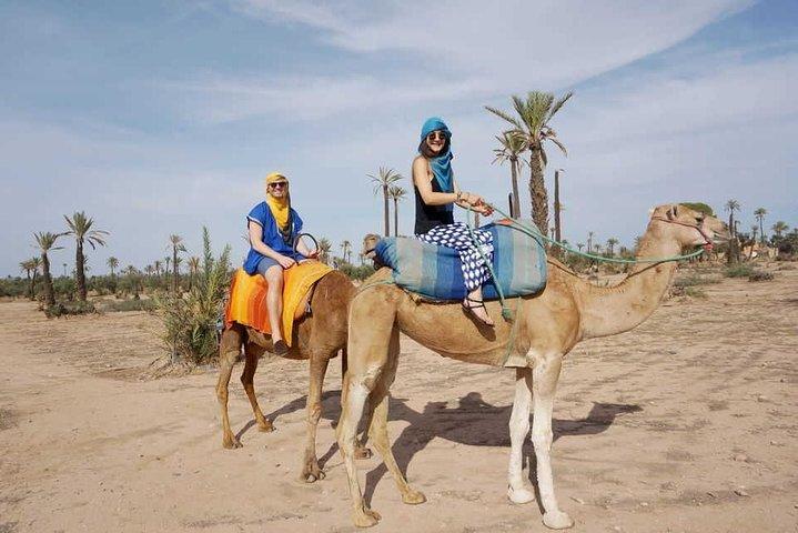 Marrakech: Agafay Desert and Pool Day Pass with Lunch + Camel