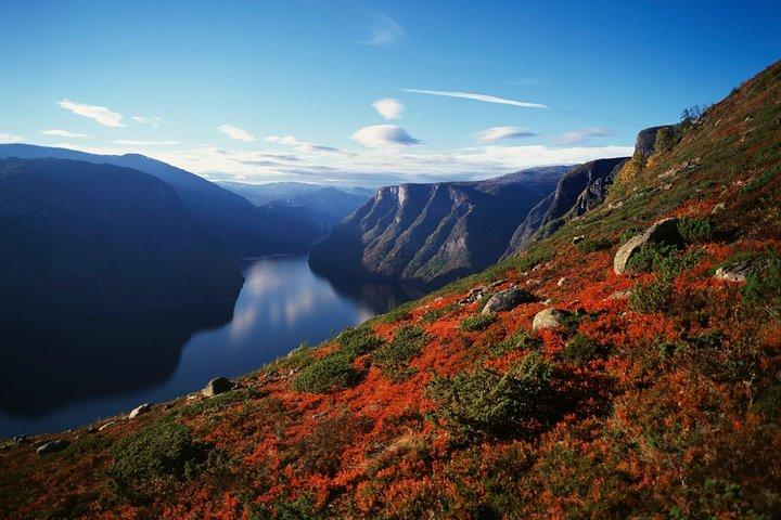 Self-Guided Full Day Round-trip From Bergen