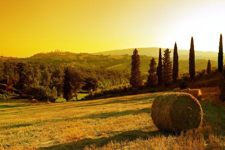 Small-Group Chianti and San Gimignano Sunset Trip from Siena