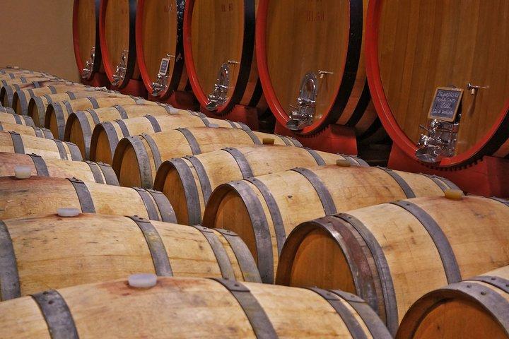Private Tour: Pienza and Montalcino Organic Cheese and Wine Tour