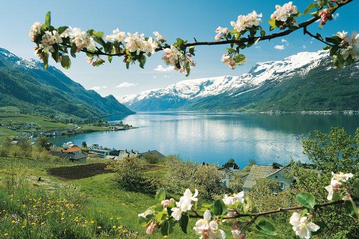 Bergen: Private Full-Day Waterfall day to Hardangerfjord & cruise