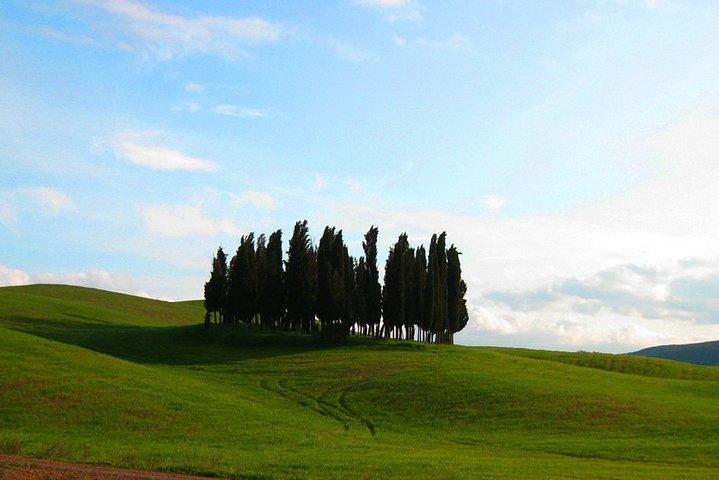Private Tour: Pienza and Montalcino Organic Cheese and Wine Tour