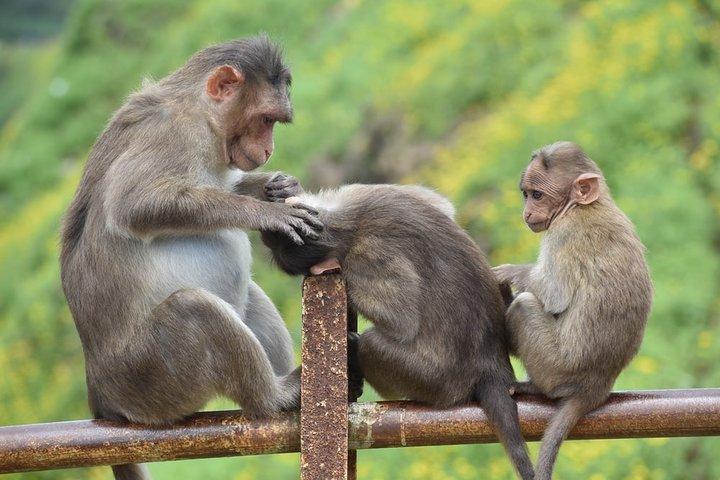 Pune to Lonavala Guided Tour in Private Vehicle