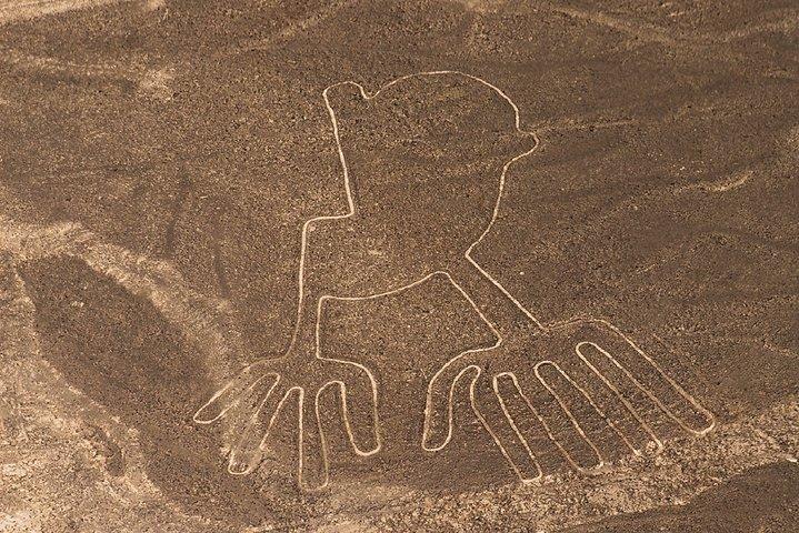 Nazca Lines Overflight Tour from Nazca
