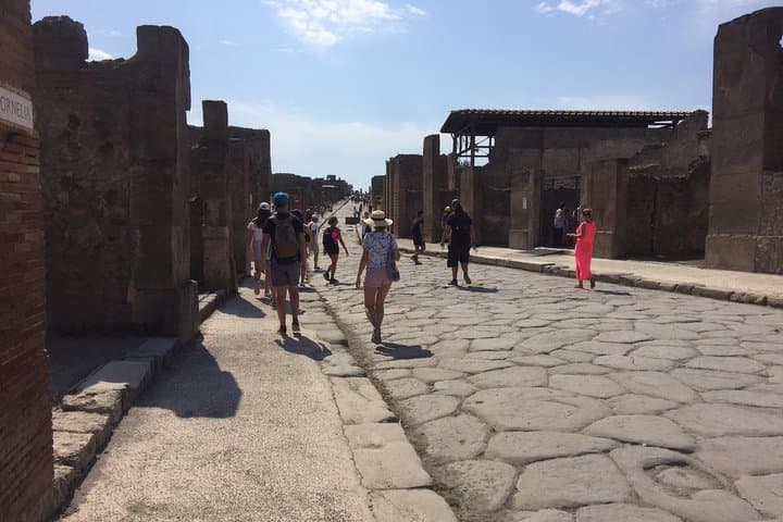 Naples Shore Excursion: Pompeii Independent Half-Day Trip