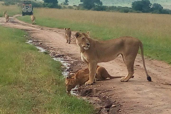 Tsavo East National Park small group tour