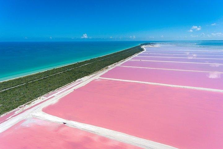 Discover the FABULOUS PINK WATERS in the Caribean