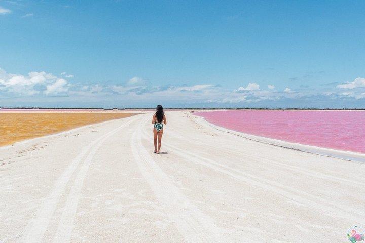 Discover the FABULOUS PINK WATERS in the Caribean