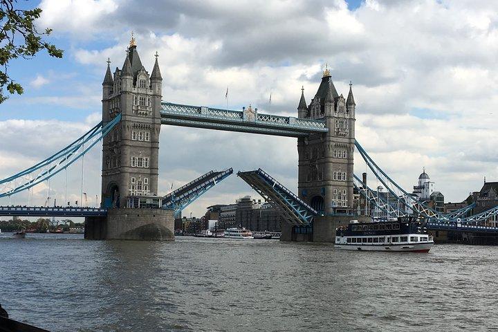 Private Custom Walking Tour: Half Day Sightseeing Tour of London