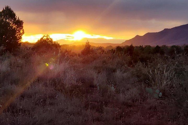 Diamondback Gulch Extreme Jeep Tour: Rugged Sedona 4x4 Adventure