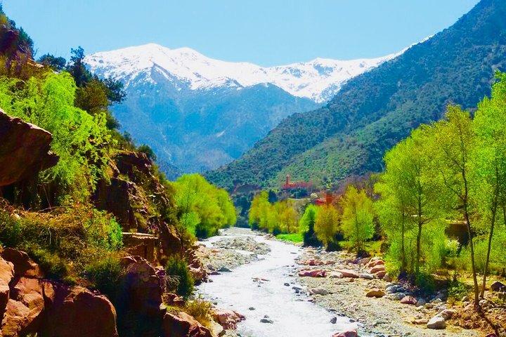 Full-Day Tour To Majestic Atlas Mountains and Berber Villages Including Lunch