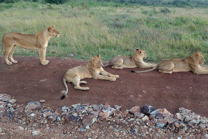 Arusha National Park Half Day Tour
