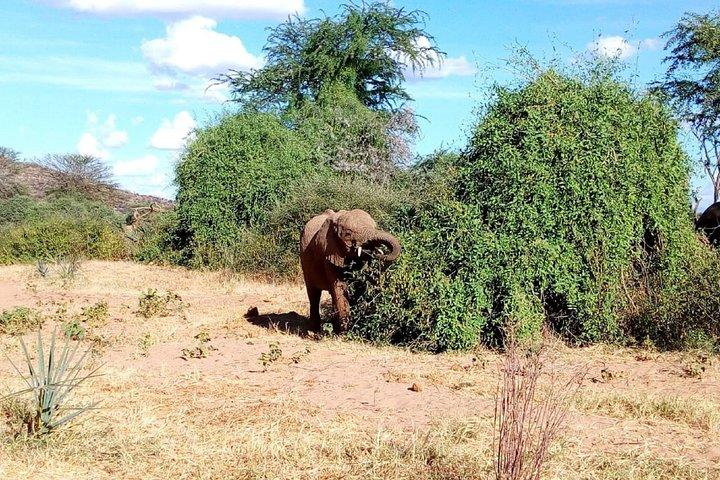 Tarangire National Park Full day Tour